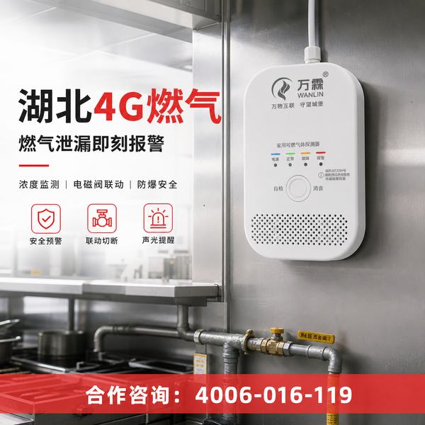 武汉万霖智慧消防应用